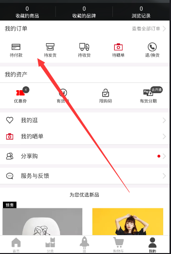 全红婵陈芋汐再度联袂出战